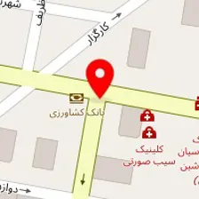 شرکت بازرگانی تصویر