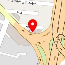 تشک زست