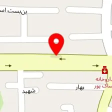 بازرگانی ایلیا