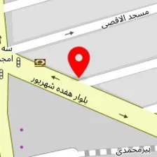 الکتریکی شقایق