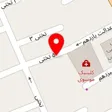 دکتر فرشته شجاعی