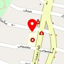دکتر شهروزه فرید