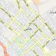 دکتر صدیقه ملاشاهی