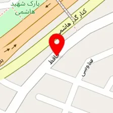 دکتر تقی رازی