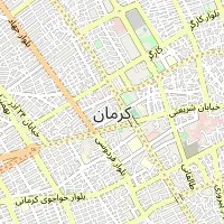 دکتر زهره ضمیری