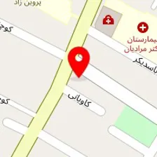 روانشناس ژیلا امیری