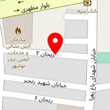 روانشناس زهرا غلامی